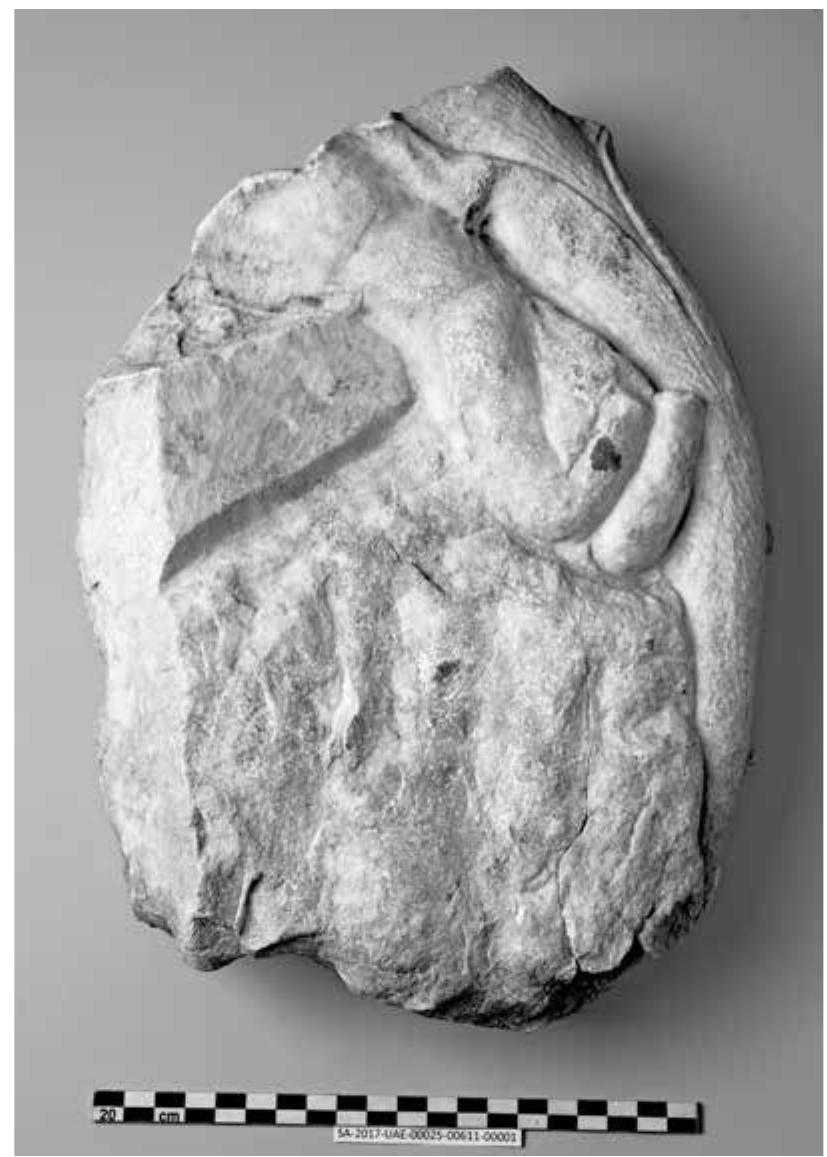 Fig. 21 Fragment of a marble statue from the fill of the Market Building, depicting a left hand holding the end of a cornucopia 