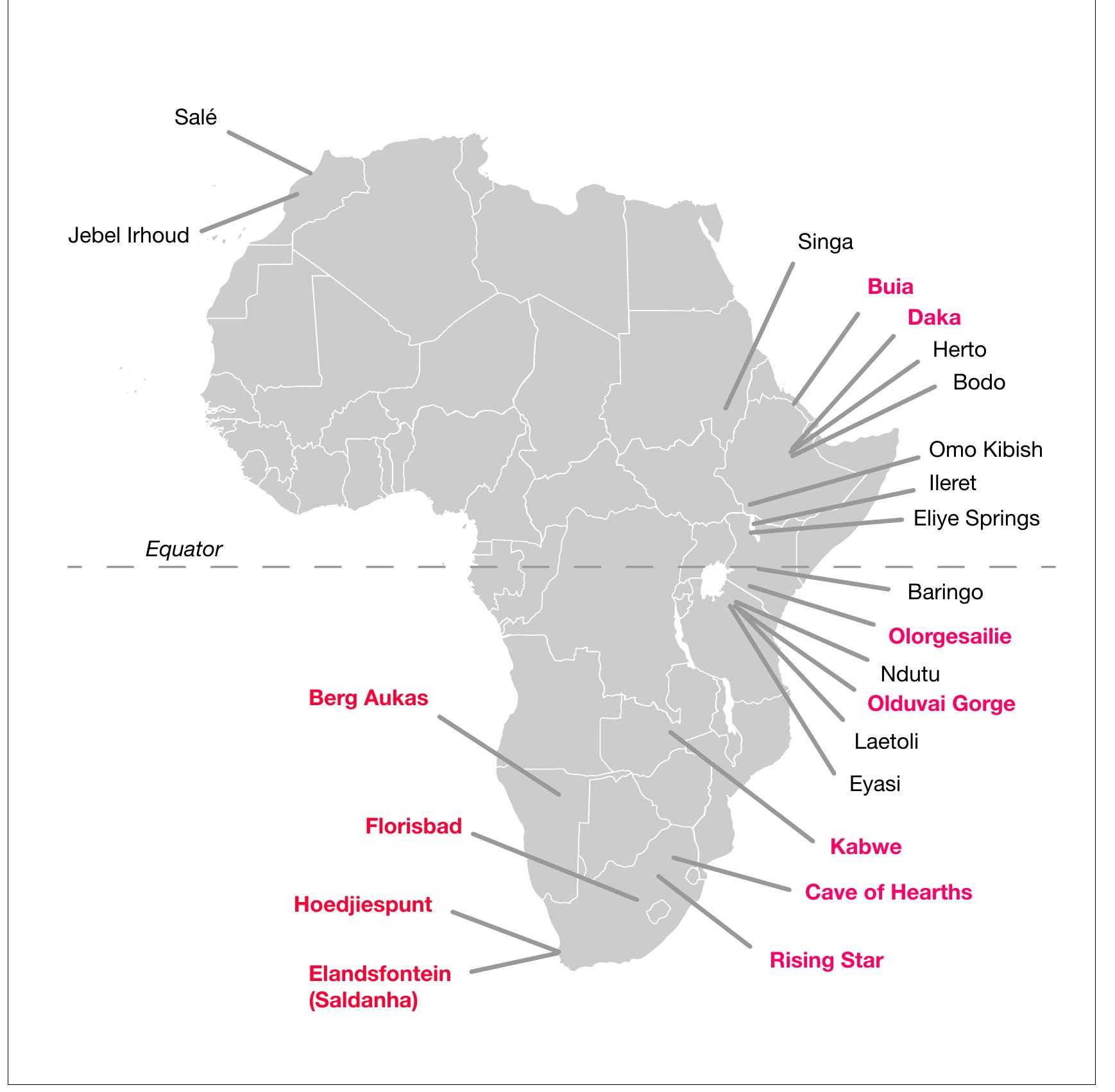 (PDF) Homo naledi and Pleistocene hominin evolution in subequatorial Africa
