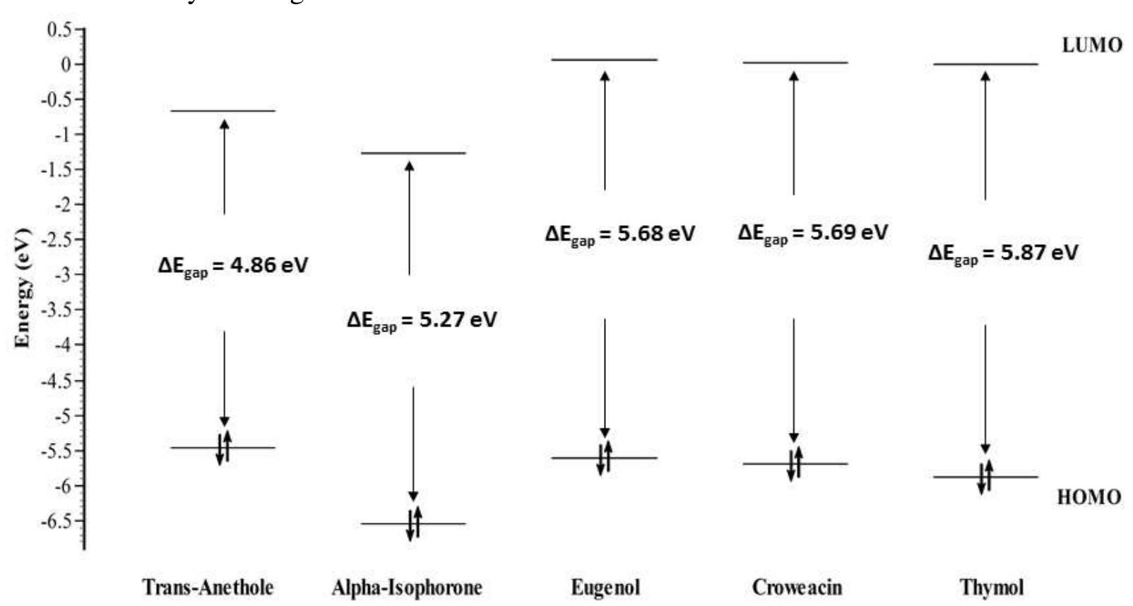 Frontier molecular orbitals (fmo) diagram of the selected