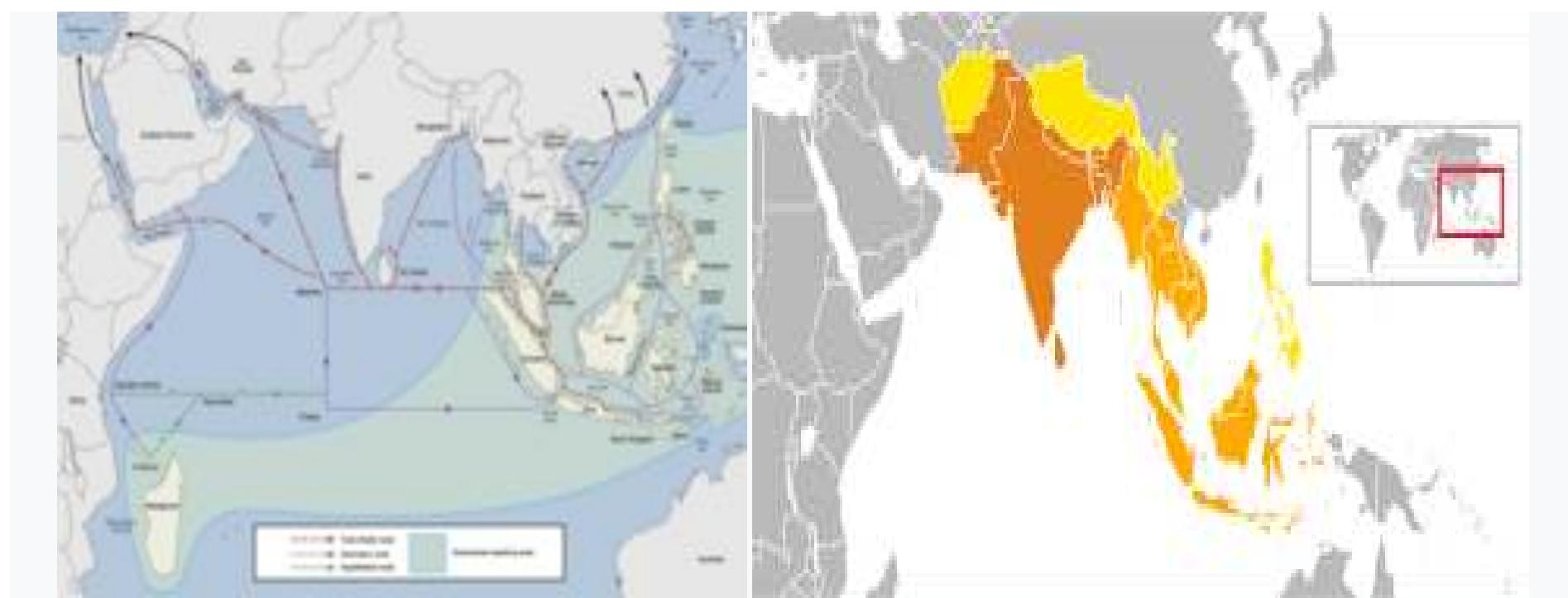 Austronesian proto-historic and historic maritime trade network in the Indian Ocean!