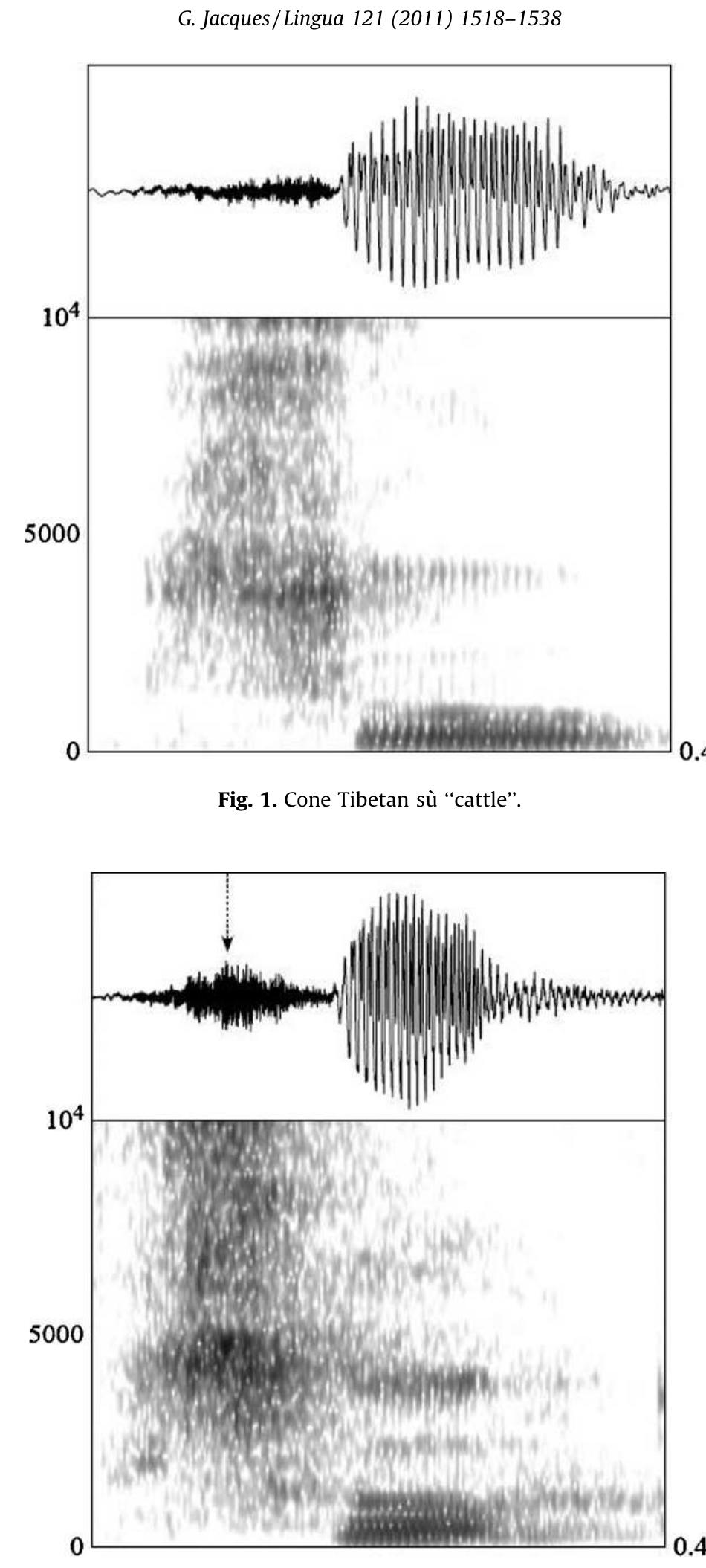 especially sibilants) have a more intense noise than aspiration. If the part of the fricative before the arrow is deleted, th esulting signal sounds like an aspirated [t"].  In the following discussion, we will compare how well the two analyses of the feature [spread glottis], can account for th lata presented in sections 3 and 4.  As mentioned in the beginning of this section, the eight types of changes can be divided into three: aspiration inaspirated fricatives, fricativization of aspirated onset and fusion of two segments. 