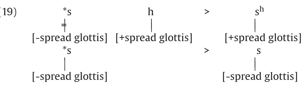 However, this would be basically equivalent with an analysis in terms of Ridouane’s definition of [+spread glottis]  The laryngeal fricative is analyzed as being [+aspirated] due to the presence of aspiration frication. This simpler analysis is more satisfying than the previous one in terms of [spread glottis].  The laryngeal fricative is analyzed as being [+aspirated] due to the presence of aspiration frication. This simpler analysis is more satisfying than the previous one in terms of [spread glottis].  Type H (Chumashan) involves the change s+s > s"-. It is part of a more general process in which all geminate unvoiced and unaspirated obstruents, including stops, become aspirated (Applegate, 1972:121). Another rule seems to be related to (16). According to Appleyard (1972:138-139), unvoiced affricates followed by /s/ become aspirated affricates: 