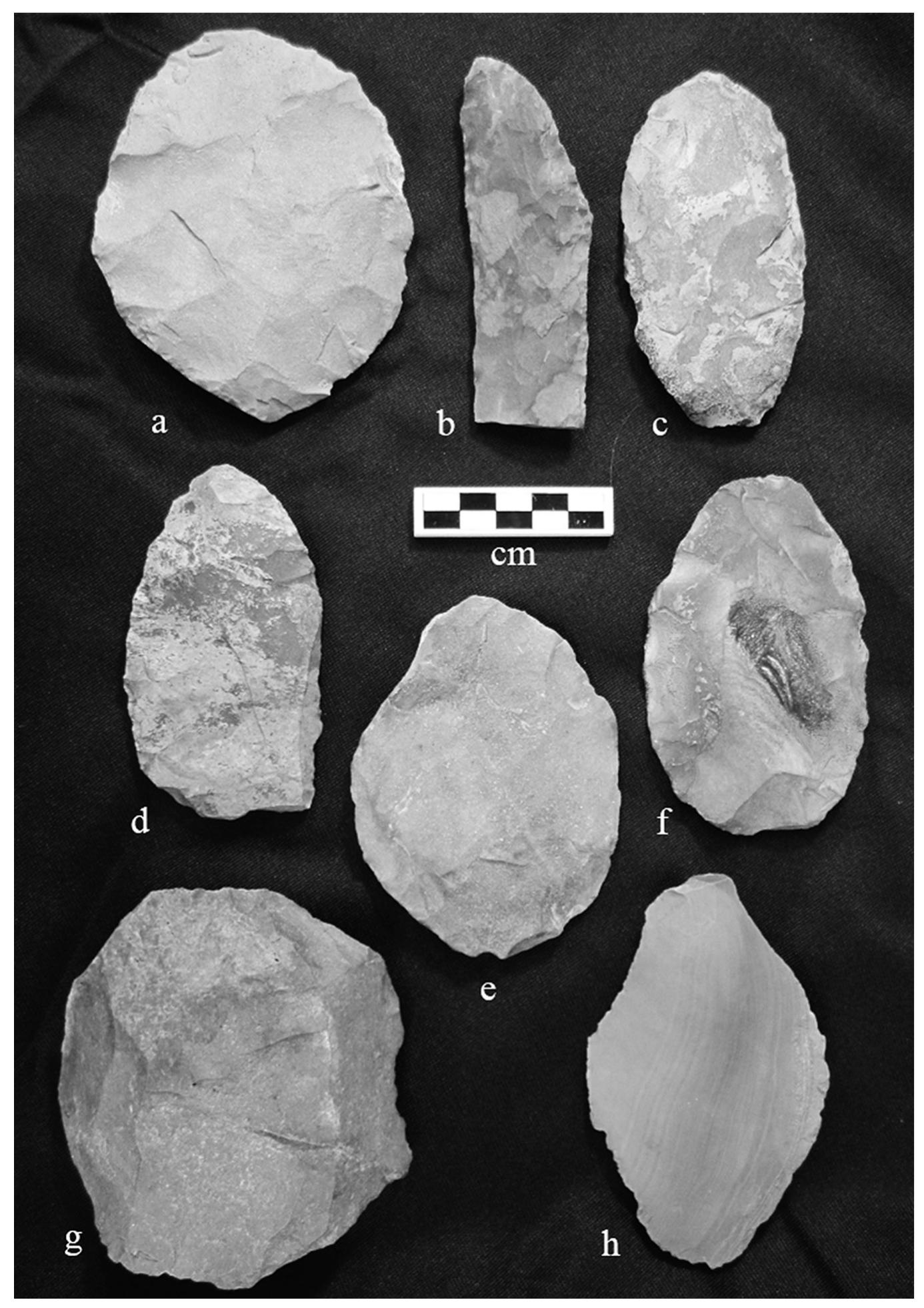 Figure 3. The Volcic cache: items 3a through 3f are bifaces, 3g is a flake, 3h is a core. Photograph by Sarah Millonig. 