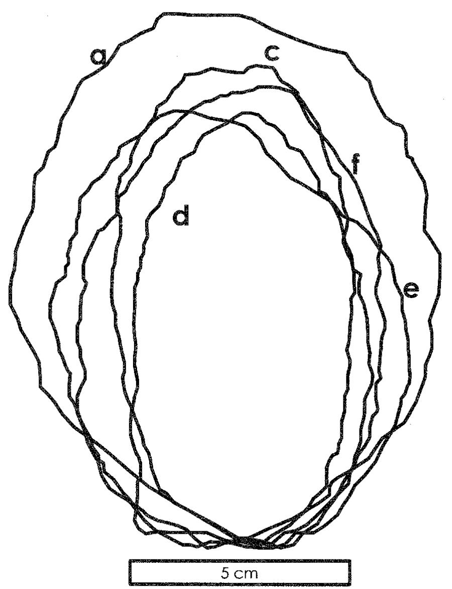 Figure 4. Outlines of the Volcic cache bifaces. Identifiers refer to labels in Figure 3. 