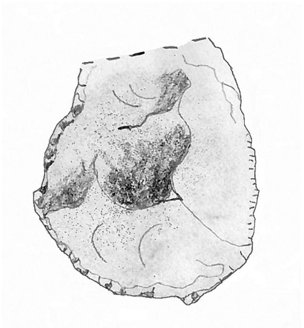 igure 2. Line drawing of artifact #8 by Jane Medina, a probable scraper in the  sald Mountain cache. This permineralized wood specimen is now missing from the ollection. The original illustration was drawn to actual size, suggesting this tool neasured about 5.3 x 4.4 cm.  where it empties into the Yampa River a few miles west of Maybell.  The CAS group first encountered a scatter of flaked stone debitage com- prised of chert, agate, quartzite, and petrified wood at the edges of the ridge. ‘They found even greater concentrations of flaking debris farther onto the ridge top in sandy clearings associated with clusters of pifion pine. The initial indi- cation of a cache came with the discovery of a scraper and composite flake tool found in situ near the base of a pine tree. The following day, further exploration revealed another flake tool about 5 cm into the soft soil at the base of the tree. The group then removed more soil in a circle about 45 cm in diameter and at a depth of approximately 5-10 cm, revealing a cluster of eight more artifacts, all of which showed signs of extensive retouch and use. [Note, although Medina’s (ca. 1974) paper mentions pifion pine in the site area, most local woodlands are uniform stands of juniper (e.g., Piontkowski 2002:7, 11).]  ‘The group also uncovered a thermal feature in the form of a layer of char- 