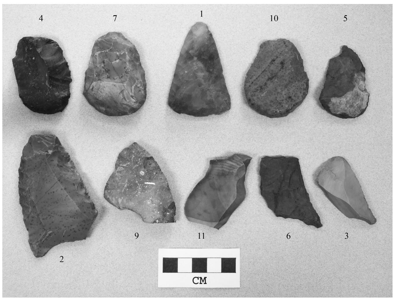 Figure 3. The 10 tools remaining in the Bald Mountain cache collection are labeled with the numbers assigned on the original line drawings by Jane Medina, as referenced in the text.  RE ————————— eee ee a an  Materials represented in the cache artifacts are chert and jasper (Table 2). All of the chert specimens are from sources locally available in Moffat County, from the Bridger, Green River, and Washakie formations of Eocene age (e.g., Miller 2010:589-591). The jasper specimens include material with small den- dritic and linear inclusions, and likewise probably have a Moffat County prove- nance such as from the Madison (Mississippian), Morgan, or Round Valley for- mations (both Pennsylvanian; Black 2000:146; Miller 2010:581-584; Michael  Metcalf, personal communication 2013). Pa a: A, en. ee ) es a nn, a | ee: es ne: | a 