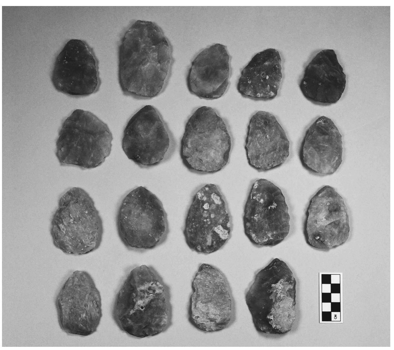 Figure 1. The Chautauqua biface cache. Bifaces in order: Biface A, top row left, to Biface S, bottom row right. Photo courtesy of University of Colorado Museum of Natural History (UCM 03753). 