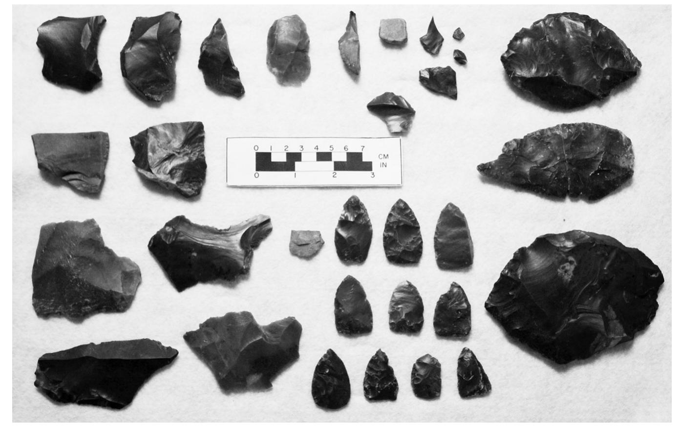 Figure 2. Photograph of the Westfall collection of the cache, which contains the majority of the Westfall/Wagner artifacts, demonstrating the range in tool types and sizes of cached items.  The other two bifaces are 118.7 mm in length and 83.9 mm in width, and 95.2 mm in length and 65.7 mm in width, respectively. Both exhibit large percussion flakes with little secondary retouch. The larger of the two exhibits a number of prepared platforms, suggestive of imminent reduction. These two  bifaces do not show evidence of significant usage as tools. a, a, ee: Ce es ee ; i: ee, ee ee |; i en se 