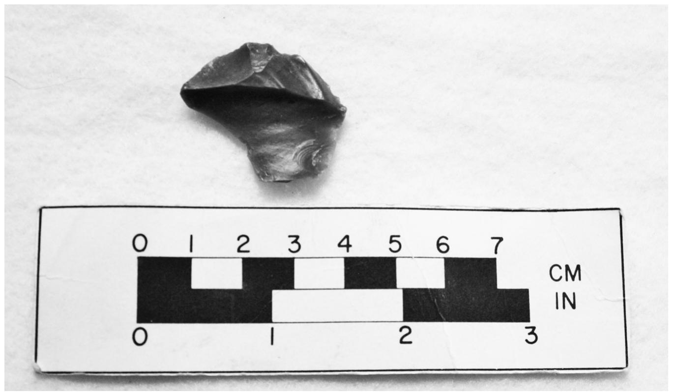 almost exclusively red dendritic chert from the Hartville Uplift quarry in Wyo- ming. The cache is best interpreted as a “rainy day” cache of artifacts that was purposely buried for subsequent recovery and use. 