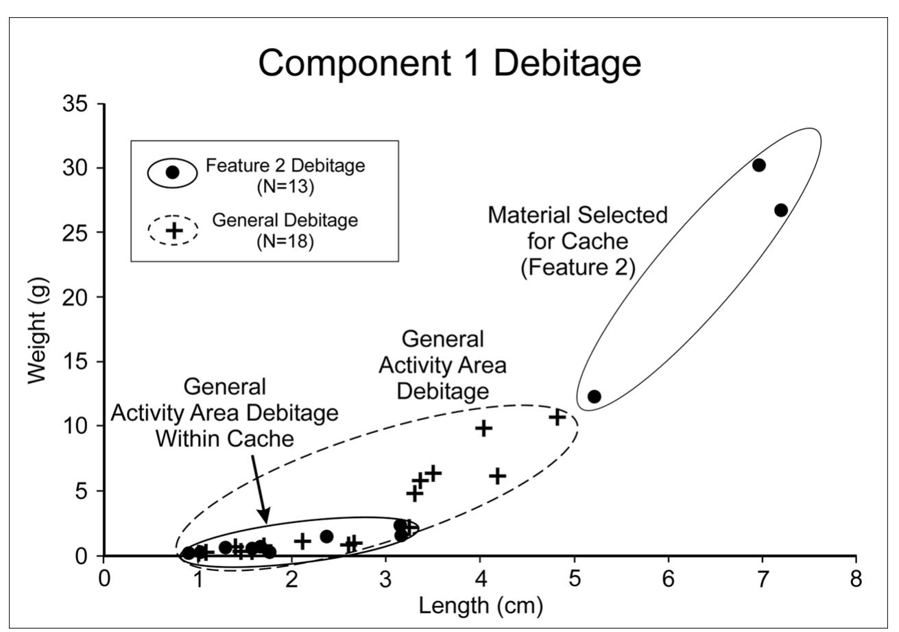 Figure 5. Graph of length versus weight for debitage >1.0 cm in maximum dimension from the Feature 2 cache (solid circles) and the general debitage from Component 1 (crosses). 