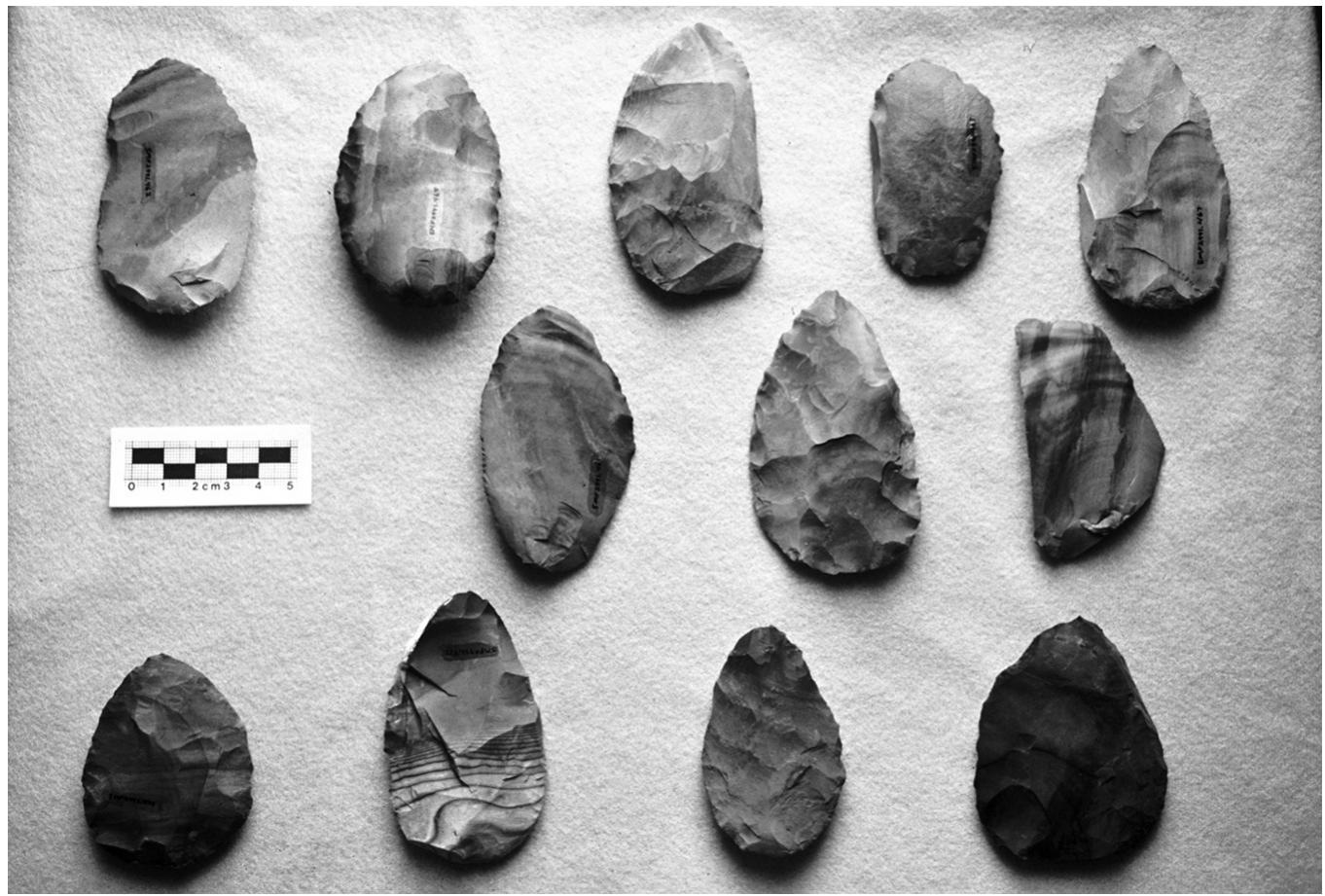 Figure 2. Photograph of the Eocene (Bridger) chert bifaces from Feature 41A, the cache at 5MF2990. Metcalf Archaeological Consultants, Inc. file photo.  Feature 41A is a cache of high-quality Eocene chert, most likely Bridger Formation, the nearest source of which is in the Sand Wash Basin approxi- mately 40 km west-northwest of the site (Miller 2010:589). The cache con- sists of 11 large biface blanks or preforms, three retouched flakes, and one uti- lized flake (Figure 2) and is consistent with a raw material cache, as defined by Thomas (1983:31). All of the bifaces and flakes were of the same striped brown/gray chert, and, as blanks, preforms, and useable flakes, they were ready for refinement into useful tools. Metrics for the bifaces within the cache are in ‘Table 1. Unfortunately, data specific to the flake tools in the cache is not in the site report. 