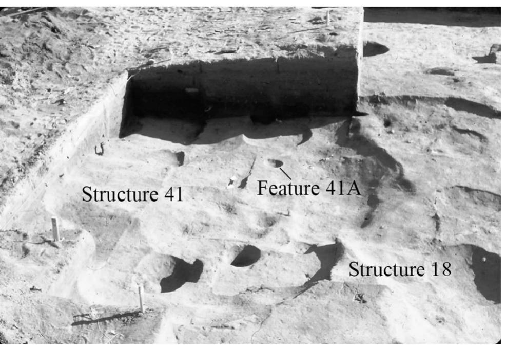 Figure 3. View looking north at Structures 18 and 41 at 5MF2990 showing the loca- tion of Feature 41A, the lithic cache. Metcalf Archaeological Consultants, Inc. file photograph.  The site was identified by dark cultural staining within a paleosol locally known as the Spring Creek Paleosol. Two basin hearth features were excavated from an occupation zone in the site, along with a moderately dense assem- blage of chipped and other ground stone artifacts (McDonald 2000). Based on the presence of both scraping and cutting tools, three projectile points, and a small, fragmentary faunal assemblage including both deer-size and rabbit-sized bones, a mix of hunting and plant processing activities is inferred. Planned post- construction excavations never occurred, so interpretation of the context of the cache is hampered by limited information.  Ce Se en i a ee, eS Se. a ee: 
