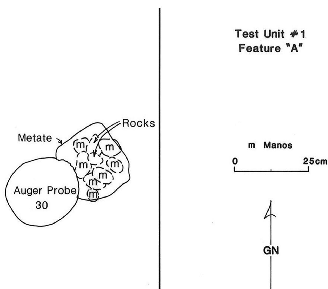 Figure 4. Plan map of the mano cache “Feature A” at 5MF3610, showing its location relative to east line of Test Unit 1 and Auger Probe 30 (McDonald 2000: Figure 11). 