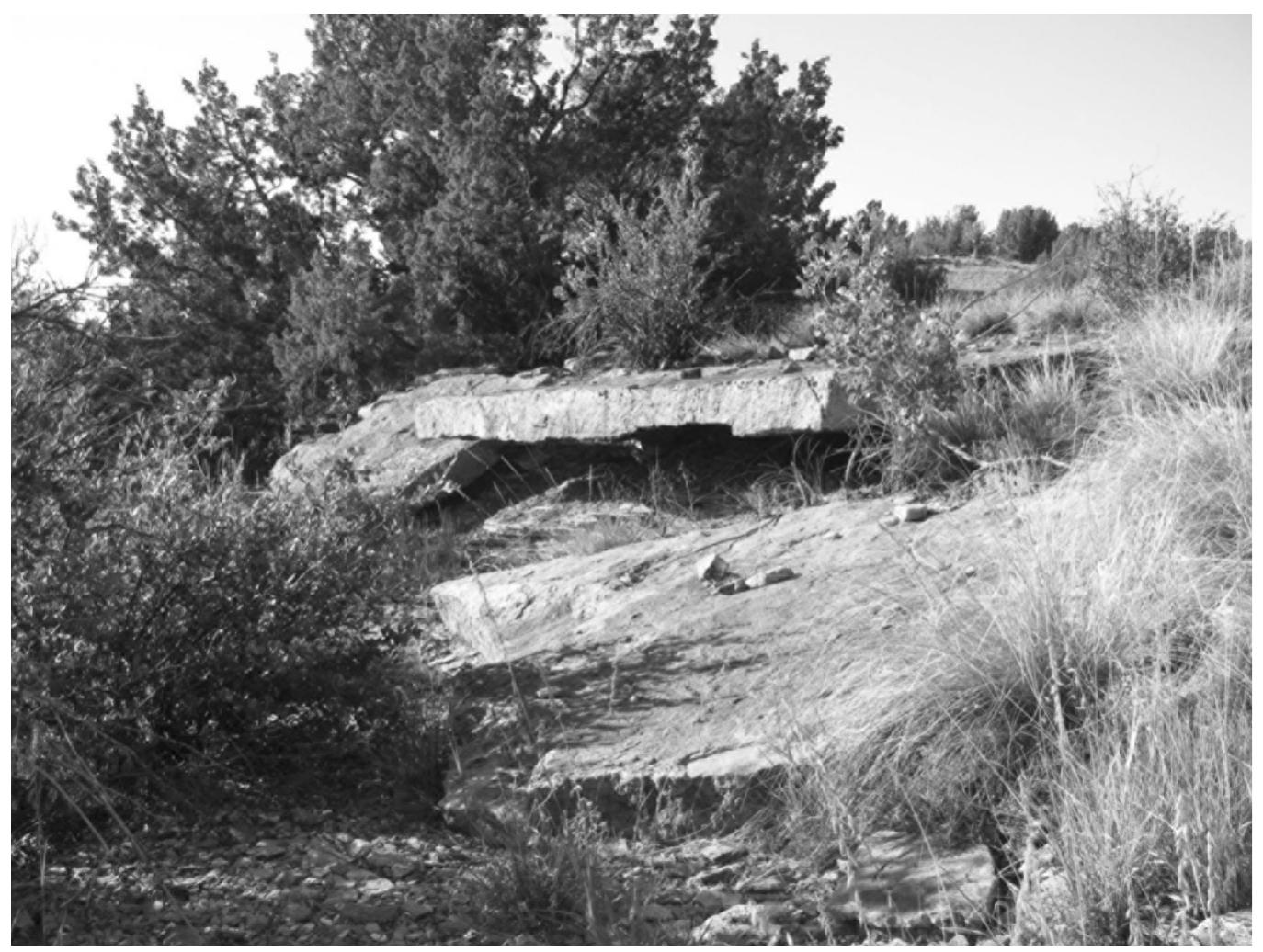 Figure 4. Photograph showing a modern Dakota sandstone overhang from the same horizontal exposure as the cache location. 
