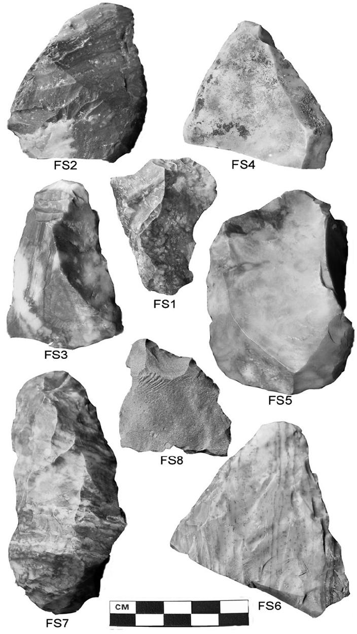 Figure 5. Photograph showing all currently ; known cache artifacts. ‘  SIGNIFICANCE  appear heavily utilized as scraping implements, with hard materials being worked most commonly. None of the tools show evidence of silica sheen build-up, the result of plant material processing. However, the tribochemical wear (Owens 2006) and edge beveling (Hayden 1979), most often associated with meat or hide processing, occurs on four specimens. Iwo items show a tar- like reddish adhesion at a proximal end that may either represent some type of hafting mastic or a remnant of a plant or animal foodstuff. No red ochre was microscopically or macroscopically apparent on any piece. 