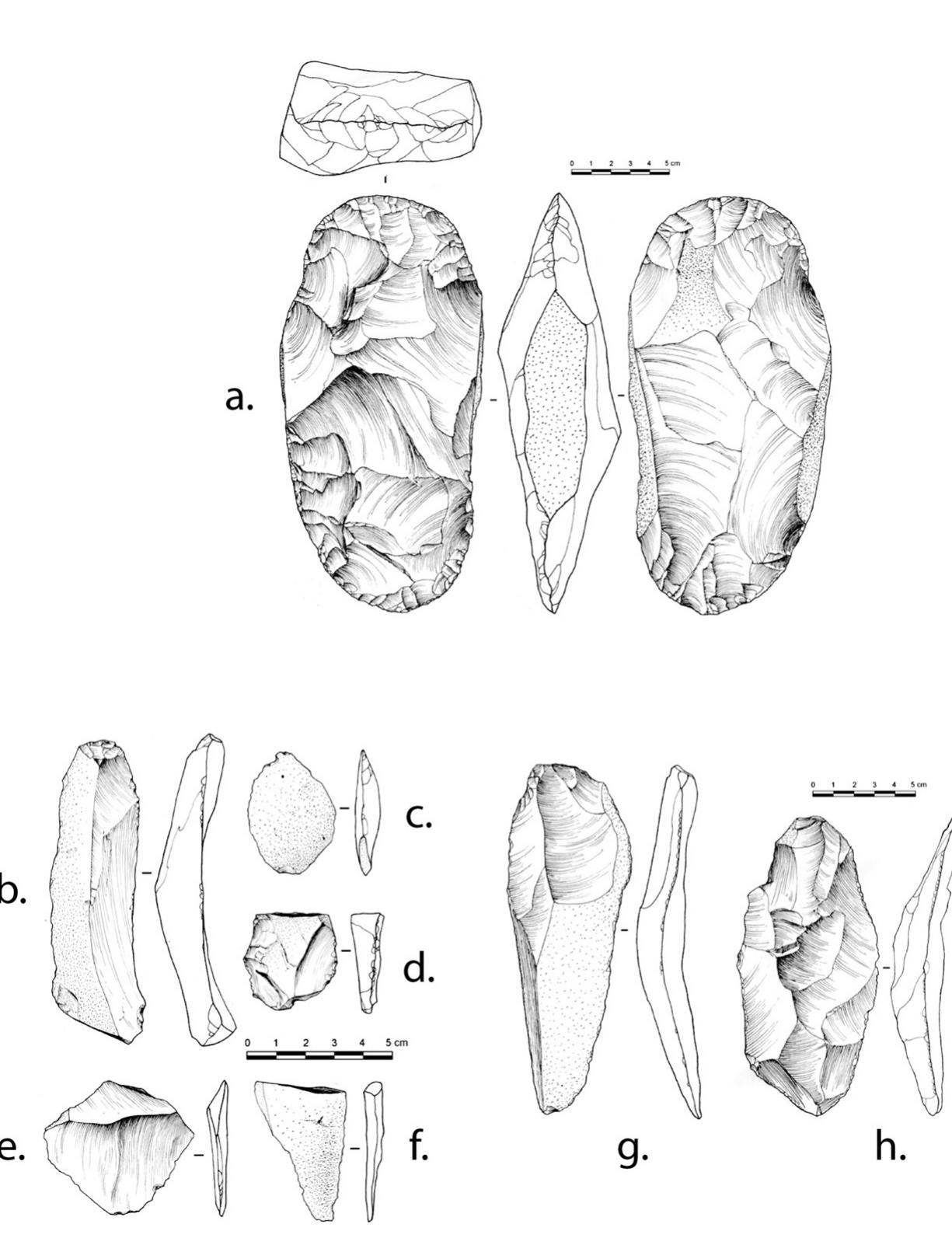 Figure 4. Selected artifacts from the Mahaffy cache made from Tiger/Bridger Basin chert: (a) biface (probably a hand-held chopper); (b) blade; (c) and (d) unmodified frag- ments; (e) and (f) flake fragments; (g) blade; (h) large core-struck flake. 