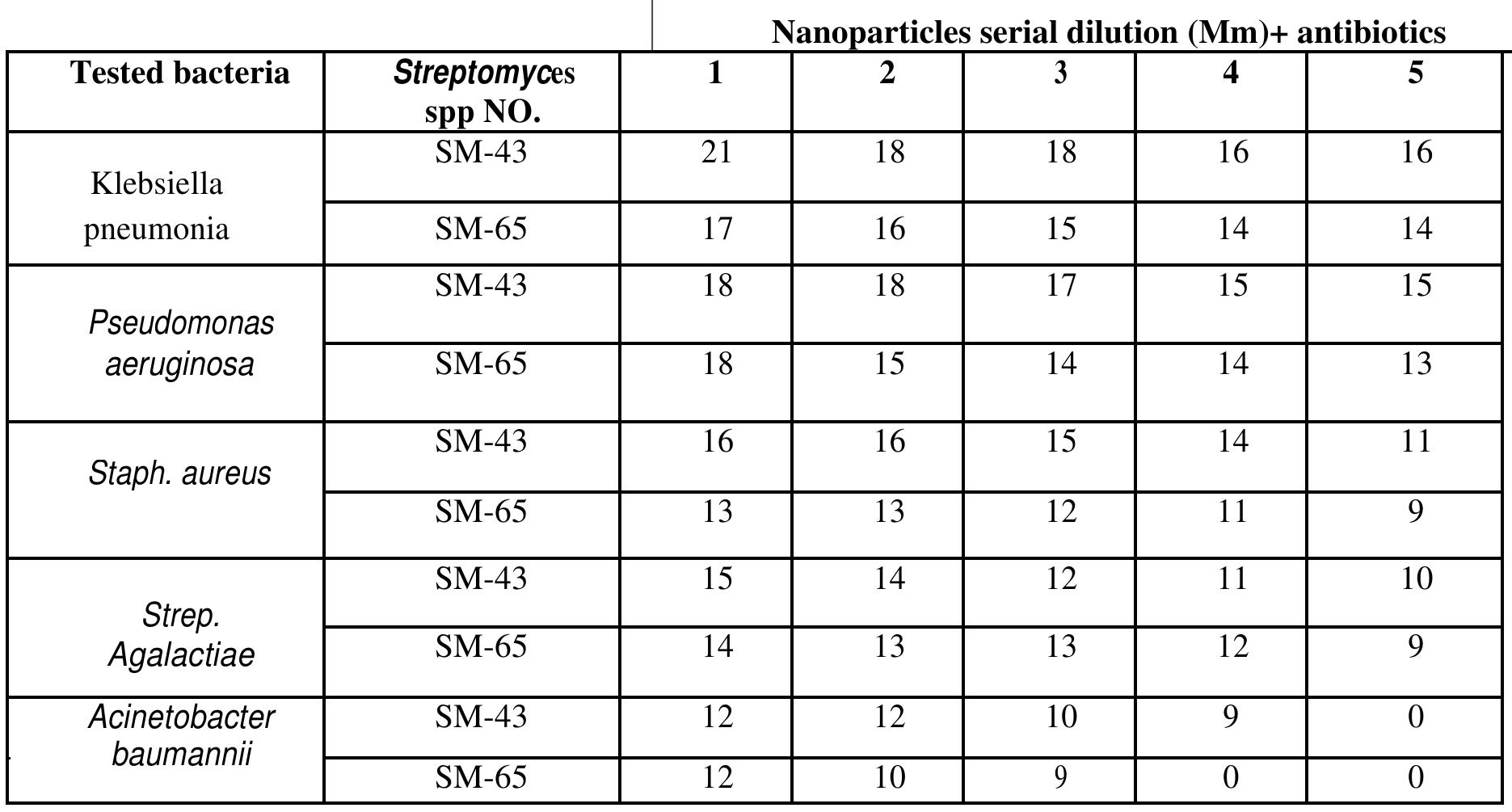 Inhibition of bacterial growth of tested isolates by silver nanoparticles fabricated by Streptomyces MU-43 was founc to be more efficient when compared with that fabricated by Streptomyces SA-65 (Table 1). It's found that gran Negative bacteria showed high susceptibility to AgNPs fabricated by Streptomyces MU-43 compared with gram positive tested bacterial isolates. The largest inhibition zone in Staphylococcus aureus produced by followed by Strept. agalactiae.On the other hand, among the studied gram negative bacteria, in case of AgNPs fabricated by StreptomycesMU-43,K.pnemoniae have been recorded to have the largest inhibition zone, followed by P aeruginosa and Acinetobacter baumanii. Regarding silver nanoparticles fabricated byStreptomyces SA-65 strain P.aeruginosa has been recorded to have the largest inhibition zone, followed by K.pneumoniae thesmallest inhibitior zone recorded by Acinetobacter baumanii, Strep. agalactiae and S. aureus also recorded inhibition zones. Gran positive bacteria used in this study exhibited less susceptibility than gram negative to silver nanoparticles fabricatec from two Streptomyces isolates (MU-43& SA-65).  RA Reamale at Tramtazal Rha atmn OC. Rarkiia Linalek C2I3BNnGA  Table (1): Antimicrobial activity for AgNP against tested bacteria 