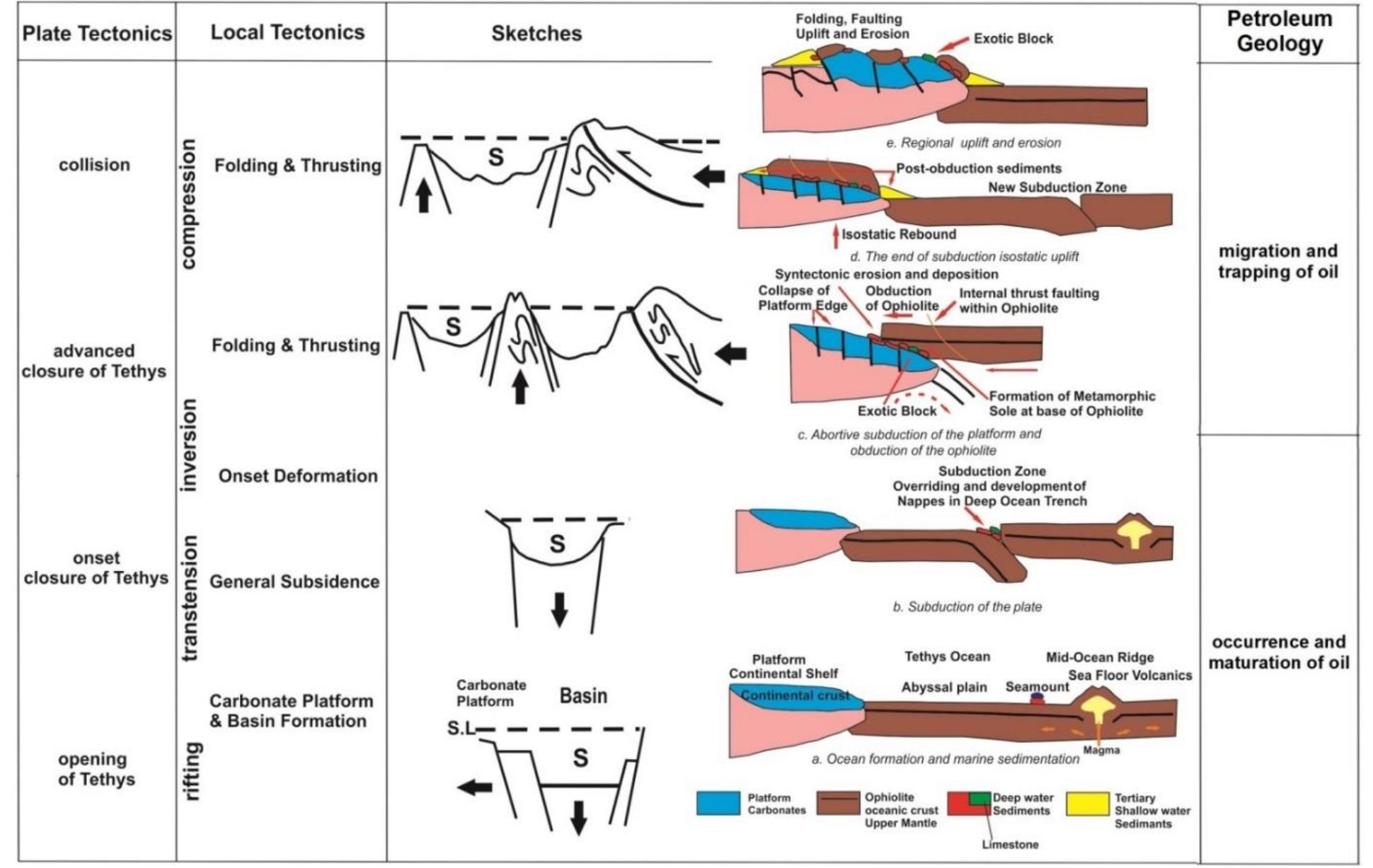 Figure 17. The proposed conceptual model for occurrence of petroleum  source rock and migration and trapping of oil in the study area (modified from 77-87). 