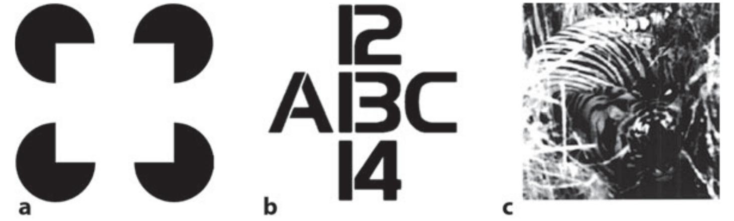 1 examples of perceptual inference. a kanizsa square: four