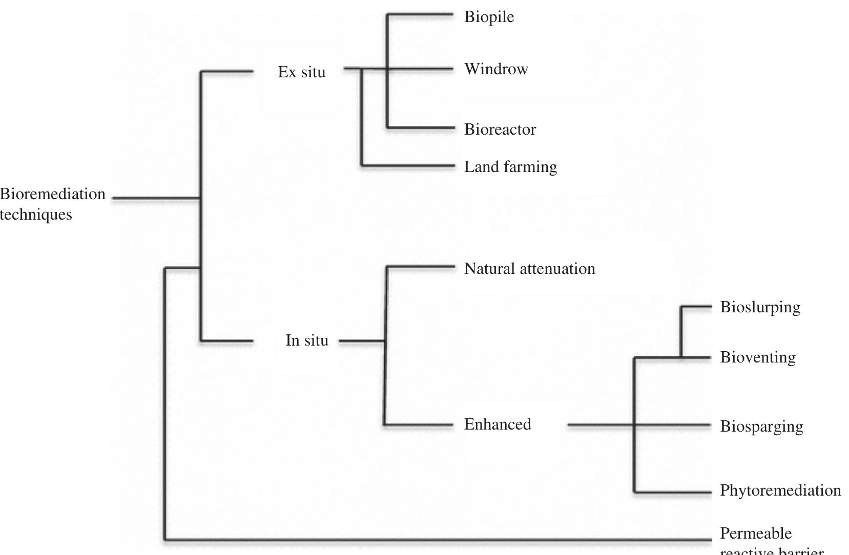 FIG. 1 Bioremediation techniques. The divergence of each technique is hypothetical. Source: Azubuike, C.C., Chikere, C.B., Okpokwasili, G.C., 2016.  Bioremediation techniques—classification based on site of application: principles, advantages, limitations and prospects. World J. Microbiol. Biotechnol. 32, 180. https://doi.org/10.1007/s11274-016-2137-x, http://creativecommons.org/licenses/by/4.0/. 