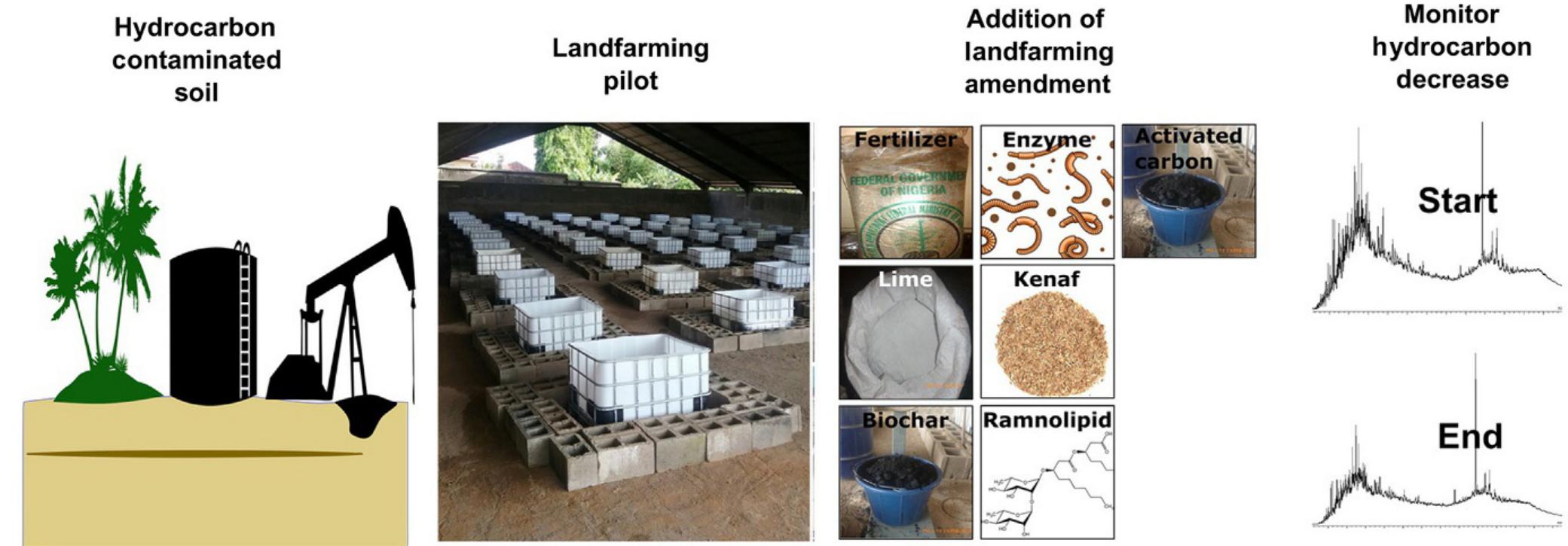 FIG. 5 Land farming amendments to increase the efficiency of bioremediation (Brown et al., 2017) (license CC-BY 4.0).  for low- and middle-income countries compared with other expensive and more technological demanding options. Composting or compost addition must be further integrated with bioremediation techniques to enhance the remedi- ation process of contaminated lands. 