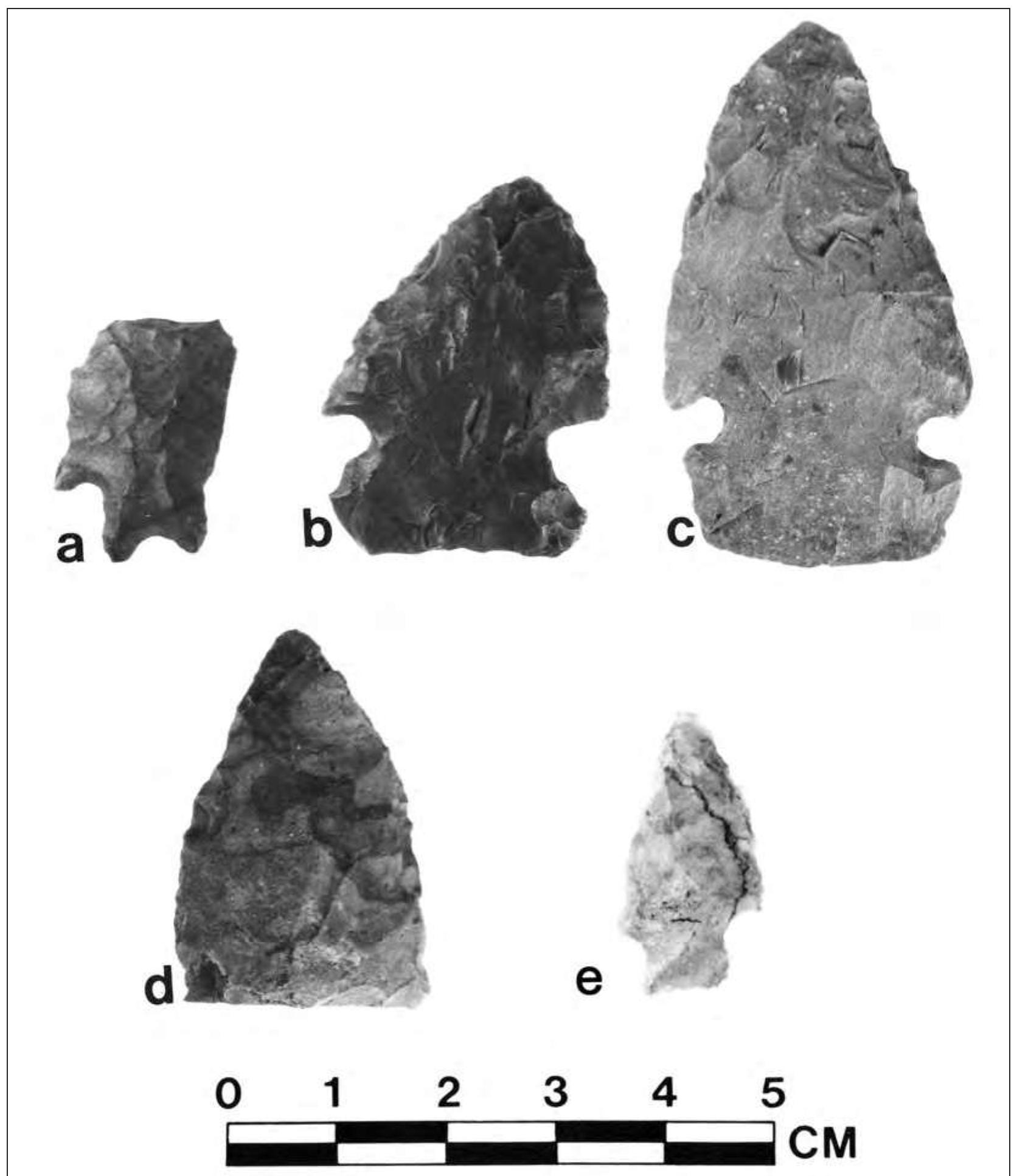 Figure 3 - from Recent Research on Four Sites Spanning