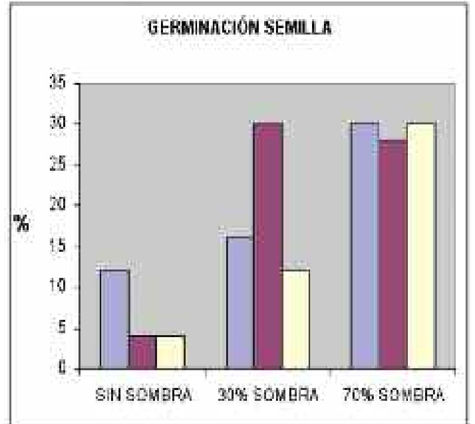 Nuestra alimentación necesita un cambio urgente y estos expertos están dando los primeros pasos – TecScience