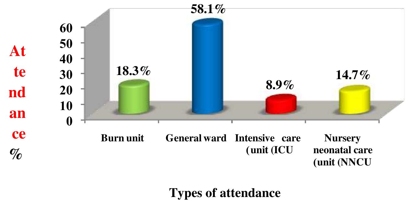 Figure 1: Distribution of paediatric patients according to type of attendance. 