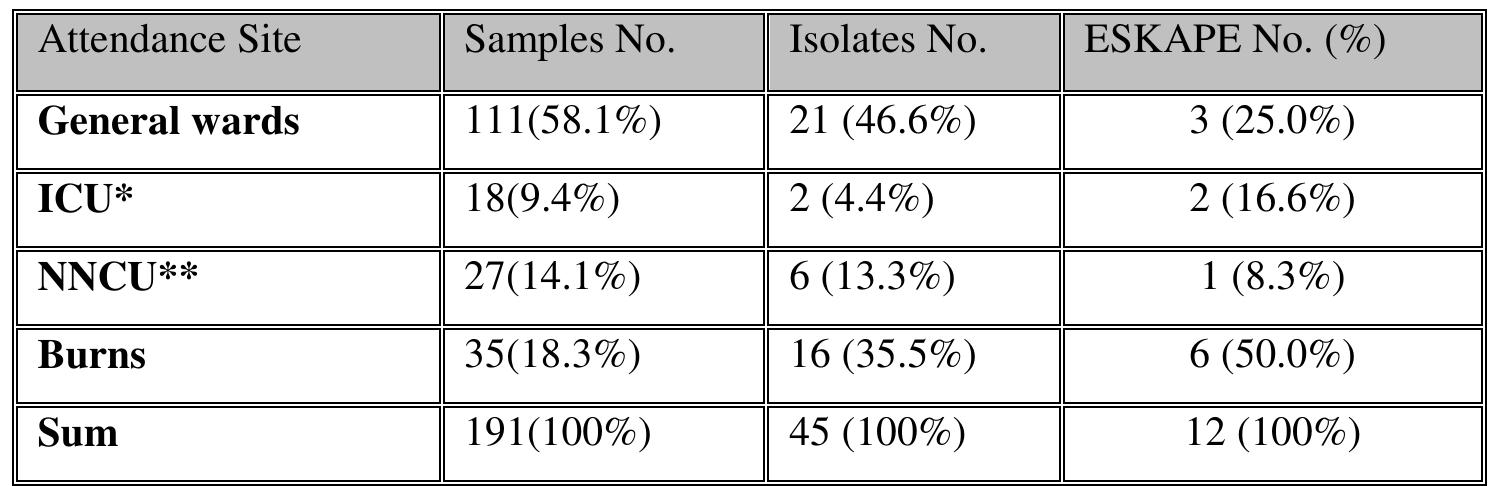 *]CU(intensive care unit), **NNCU (nursery neonatal care unit).  Table 1:Distribution of ESKAPE pathogens group isolated from pediatric patientsaccording toattendance site  Regardingdistribution of ESKAPE pathogens group according to type of bacteria, S.aureus was high rate (33.4%),each o: P.aeruginosa and K.pneumoniae have same rate (25%) and low rate (8.3%) belonged of each E. cloacae anc A. baumannii, while E. faeciumnot isolated in this study. 