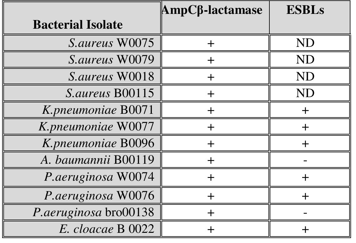 Table (2): Antibiotic susceptibility by disk diffusion test for detection AmpC and ESBLsofGram negative of ESKAPE pathogens group  In present study, the production of AmpCB-lactamases in B-lactam resistant of S.aureus isolates was detected by Vitek 2 compact while it was detected by DDT test in B-lactam resistant of Gram-negative isolates. The results in this regard evealed that all 12 ESKAPEpathogens group isolates were resistant to cefoxitin as primary screening marker for AmpC 3-lactamase production. 