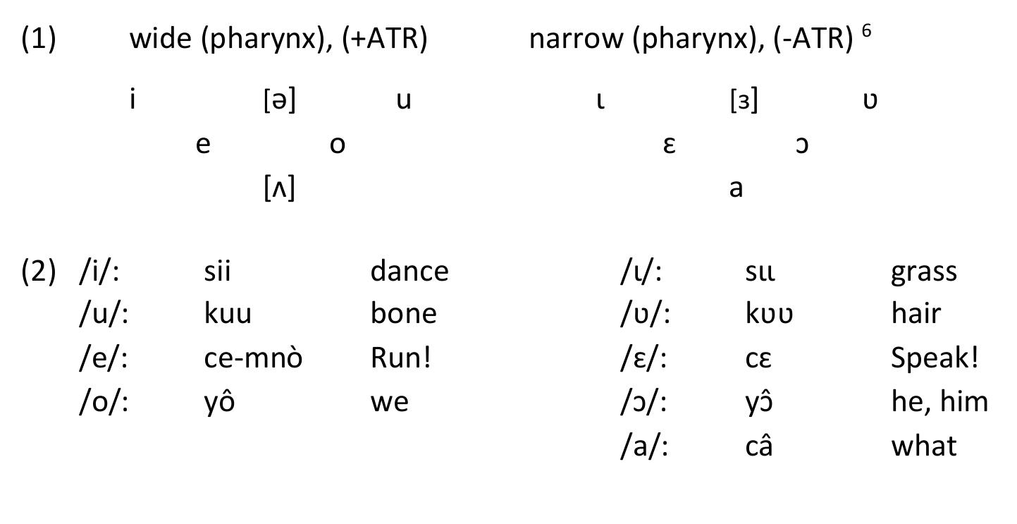 Tangale Language (PDF) Waja vowel harmony, and Tangale - Waja common vocabulary