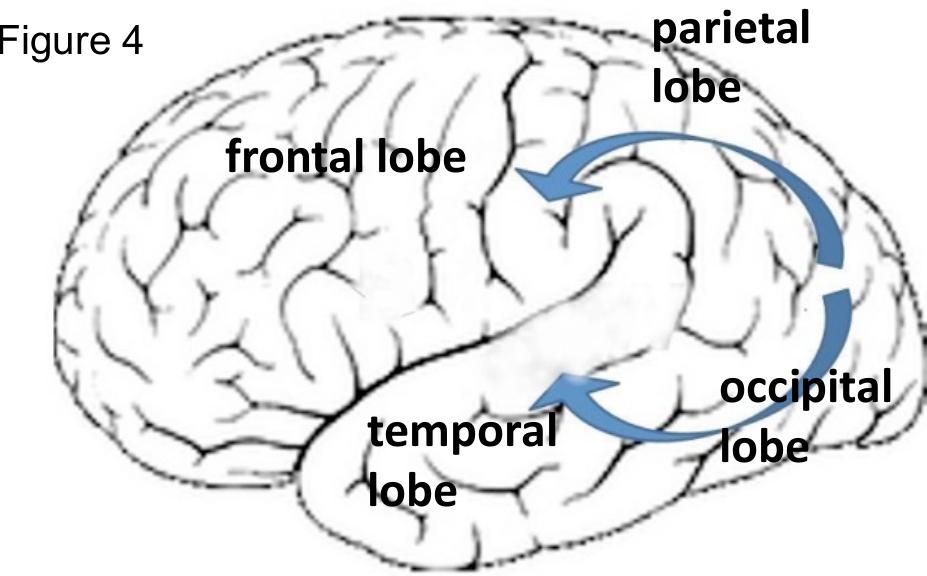 Figure 3 - from 1. Cognitive development in deaf children