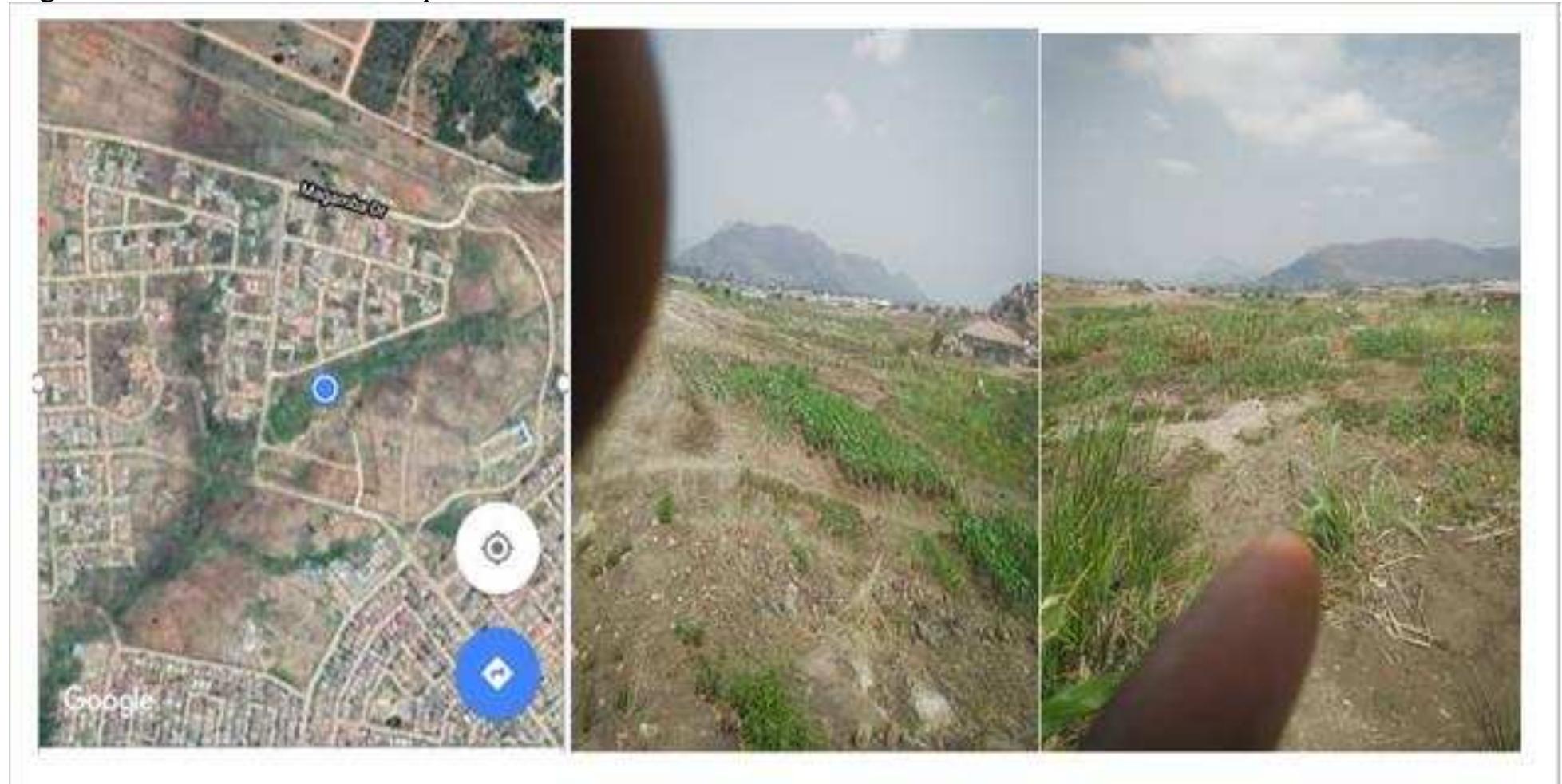 (PDF) Impetus of urban horticulture on open spaces: case of Mutare City