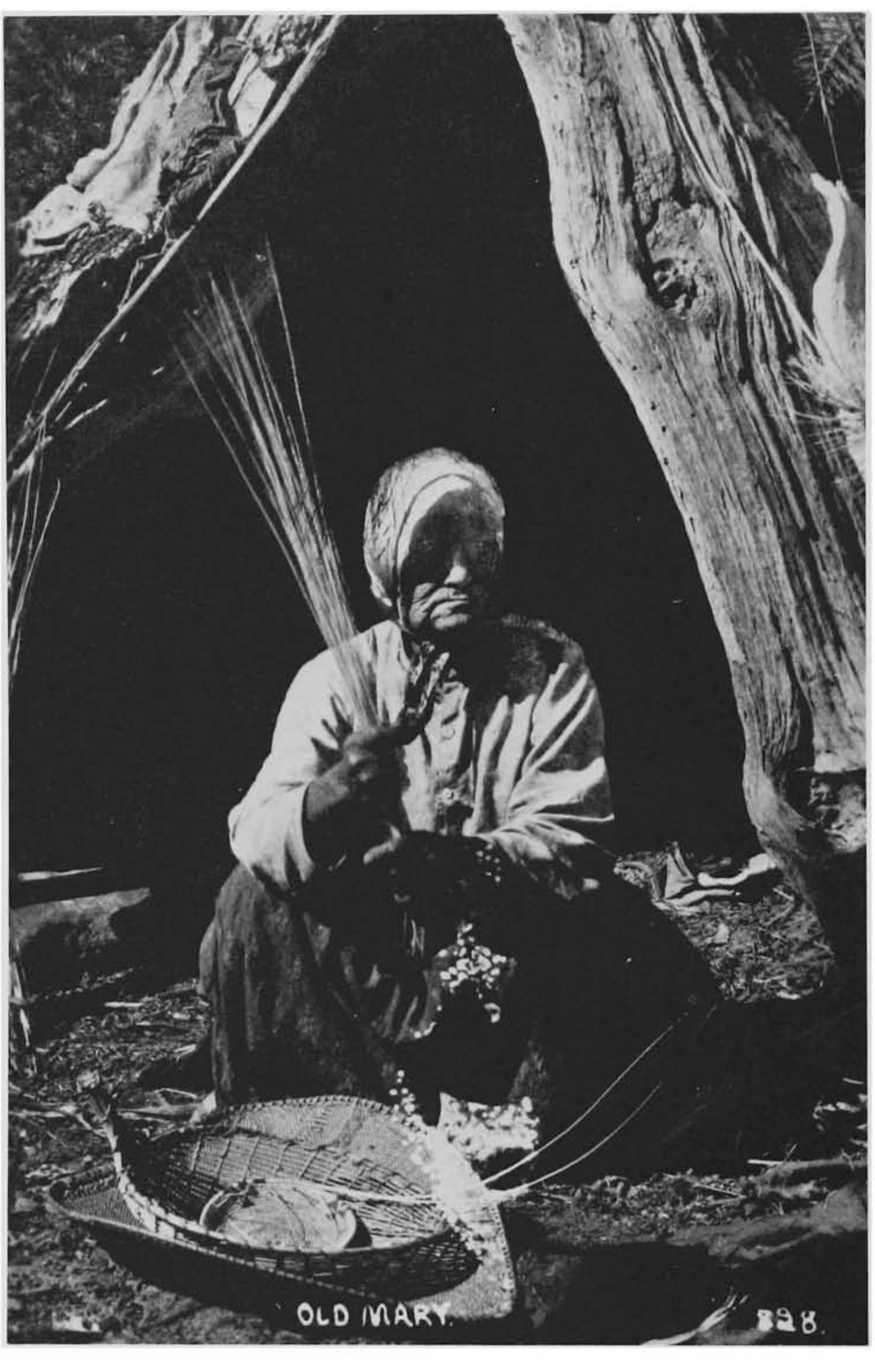 “old mary,” a northeastern maidu weaver ca. 1915-1920, note