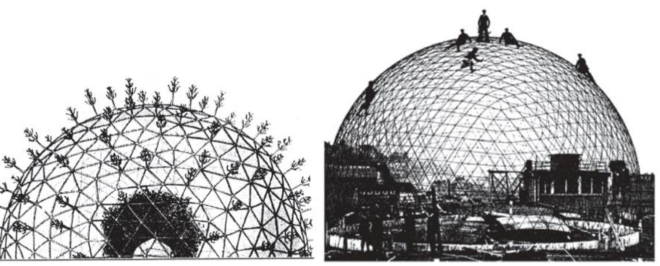 (PDF) Bionic Design - Architectural Innovations Inspired by Nature with ...
