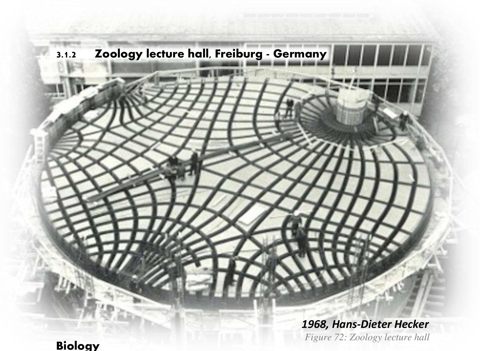 The three levels of biomimicry according to zari