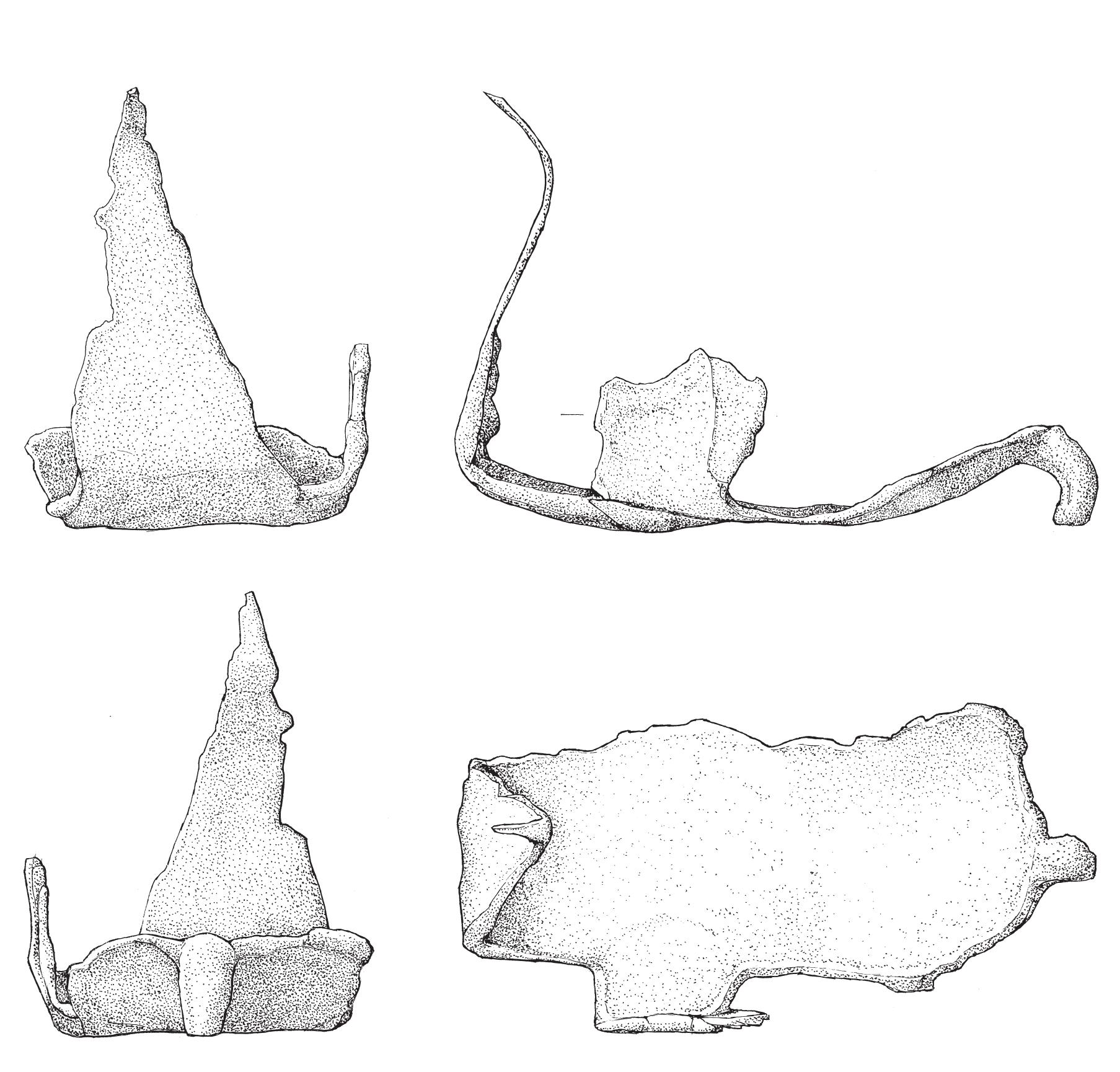 semi-circular cut-out. Perhaps the fragment originally extended past this cut- out, which would then be one of the chamfron’s eye holes. Oddly enough the fragment seems to have hinges on both of its long sides, while one would expect a side panel to be hinged on only one side. Perhaps the hinge on one of the sides served to attach the chamfron to the bridle. 