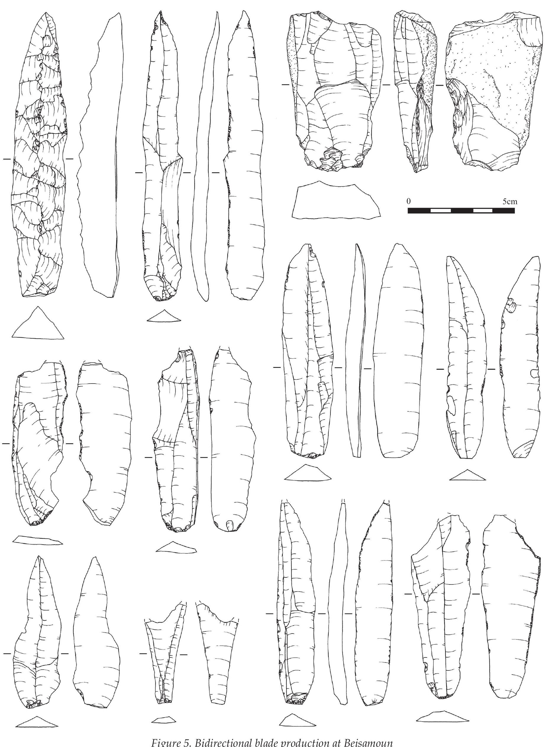 proximal part (Fig. 7B.1). Secondly, on 22% of all the bladelets, whether twisted or not, the butt does not run perpendicular to the longitudinal axis of the bladelet (Fig. 7B.2). Finally, in 12% of the bladelets studied the impact point was located not on the middle but on one side of the butt (Fig. 7B.3). In sum, almost 30% of the  (Figs 7A and 8). Bladelets from Beisamoun are also characterised by the following features observed in the proximal third of the blank. From a total of 2051 bladelets with a well-preserved proximal part almost 15% display a twisted longitudinal profile (80% to the left and 20% to the right) especially noticeable in the 
