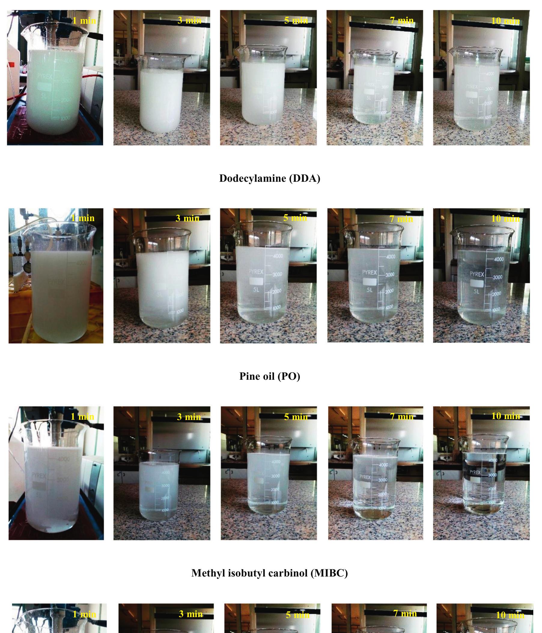 Fig. 3. Stability and volumetric concentration of generated NBs by time passing at 1, 3, 5, 7 and 10 min (air flow rate: 24 I/h).  order of MIBC>DDA > F507. By comparing our results with the presented data by Cornoa-Arroya et al. [63] one can come to a common ground.  Table 5 represents that independently of the charge of the sur- factant the bubble size varies almost twice to triple by adding the surfactants. This is in good agreement with the resultant data 
