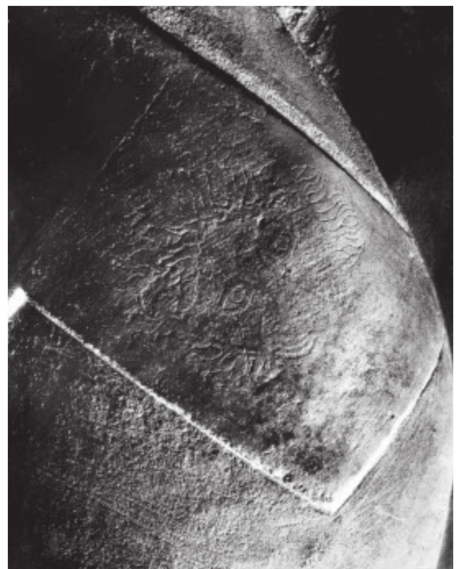 liefs, being due also to the differences in durability of the 