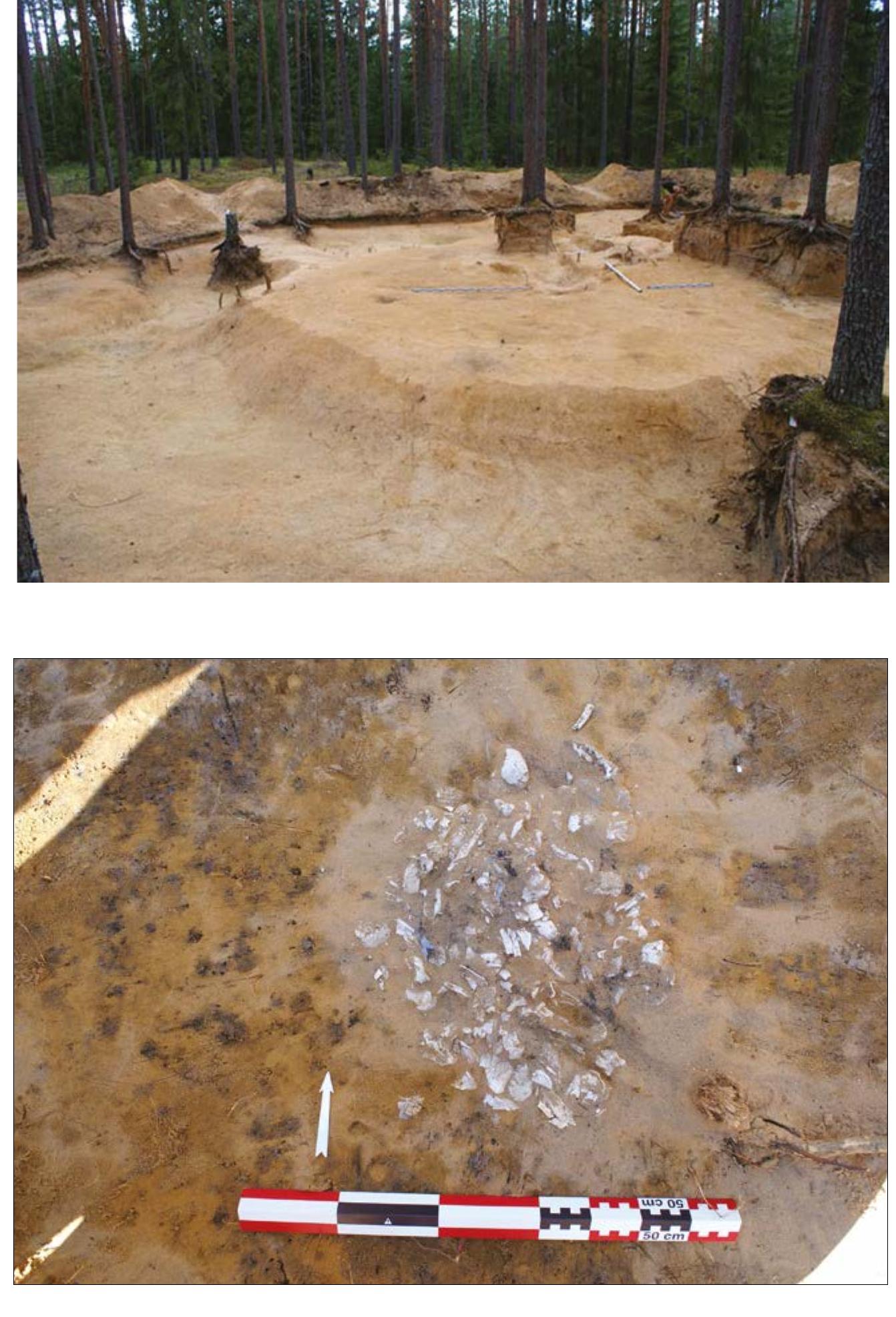 THE BEST Honolulu Hotels with Weekly Rates 2026 (with Prices) - Tripadvisor, image size:1342x1971