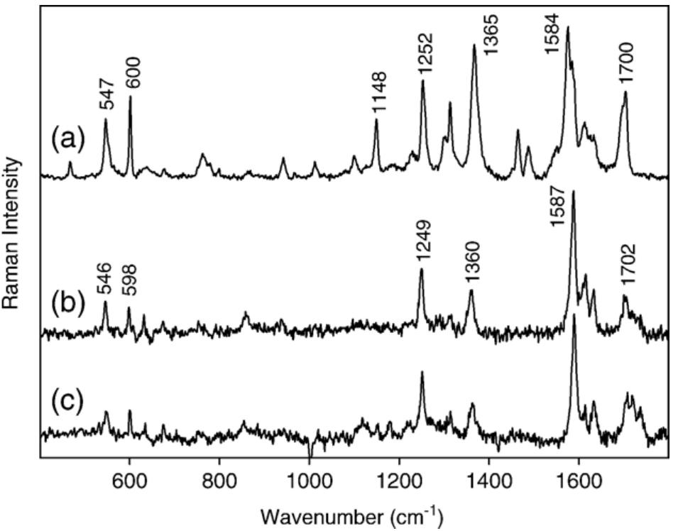 Figure 10 - Application of Raman spectroscopy to forensic