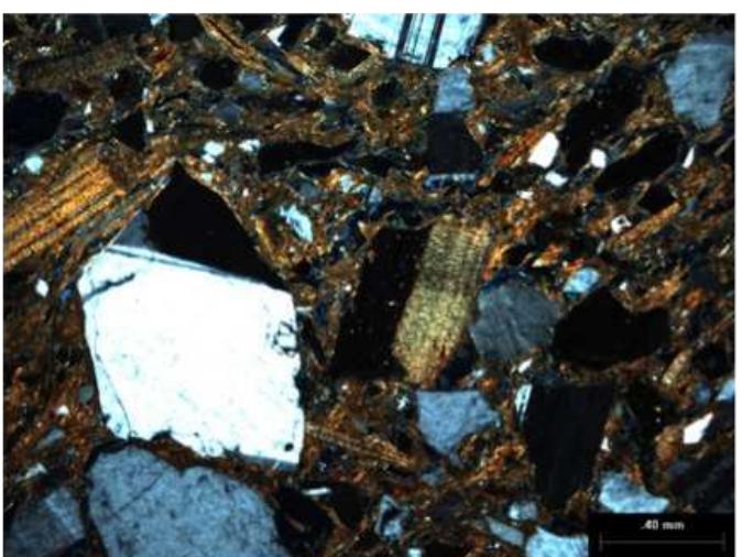Coarse Inclusions Geological map showing the subregion of san juan mayo.