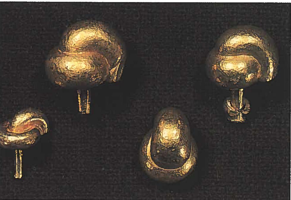 Fig. 9. Massive guldringknopper til pragtsverd — fra begyndelsen af 500-tallet.  Vv YY  Den tredje gruppe ringknopsverd er lige- ledes rigt dekoreret og daterer sig til midten af 600-tallet (fig. 10c). Det geografiske spred-  Den neste gruppe af ringknopsverd stam- mer fra tiden kort for og efter ar 600 (fig. 10b). Disse er ikke af massivt guld, men af forgyldt bronze. Derimod er svzrdene ofte rigt dekorerede og med rgde glasindlegnin- ger. Der er en tydelig geografisk koncentra- tion af disse svzerd i det danske, centralsven- ske og sydnorske omrade, og samtlige er pla- ceret 1 randen af de omrader, hvor de talrige vabengrave findes. Inden for omradet med ringknopsverd er der imidlertid stort set in- gen vabengrave. I hele 500-tallet er denne type pragtsverd med eller uden ringknop til- svarende i brug pa kontinentet og i England. 