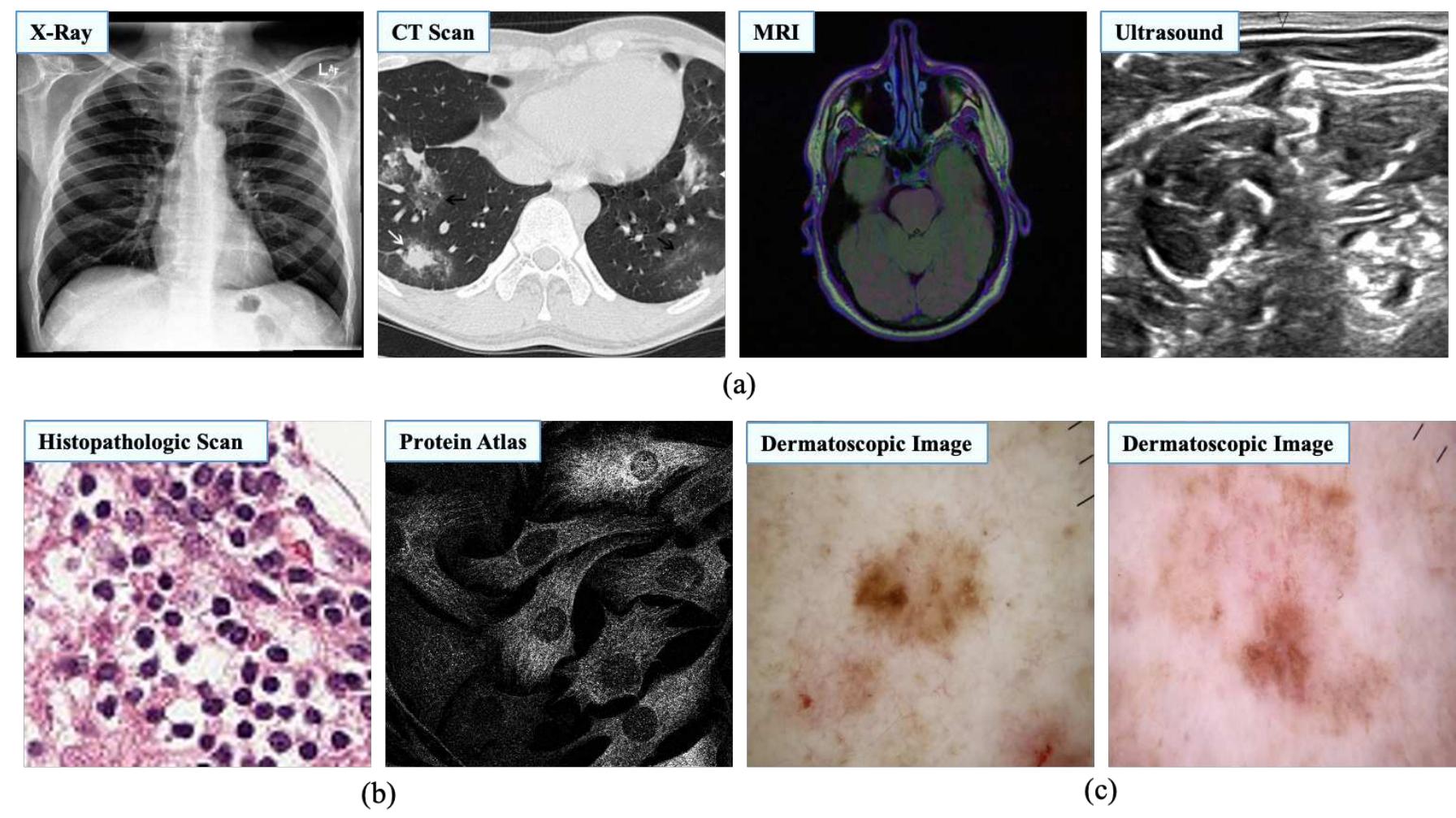 (PDF) Learning Medical Image Denoising with Deep Dynamic Residual ...
