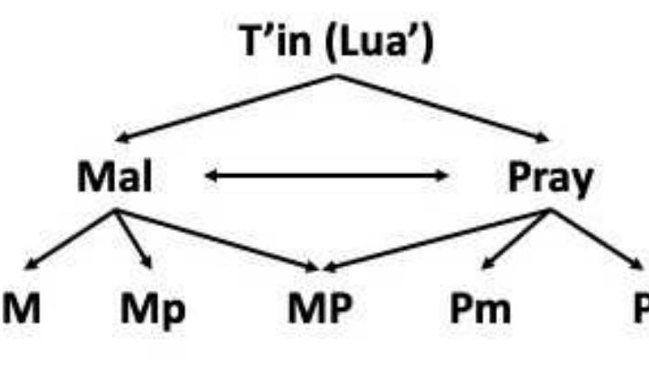 Linguists identify two languages — Mal and Pray — but actual language use, (M: Mal, Mp: Mal
with Pray characteristics; MP: a language showing characteristics of both; Pm: Pray with Mal
characteristics; and P: Pray) shows how one variety can blend into another across the continuum
Varieties that are close to each on the dialect horizon are mutually intelligible, while the ends are
less so. Previously known as T’in (or Htin), this term is now considered pejorative. Lua is more
acceptable, as no commonly held ethnonym exists, but is also a blanket term that remains
disconnected from the actual cultural and linguistic practices of the people. Lua is also a
confusing term because it has been used to refer to both the Mal-Pray-speaking people of Nan
and the Lawa people of Chiang Mai and Mae Hong Son, who are linguistically and culturally
distinct.
 varieties — Sgaw and Pwo — which are not mutually intelligible. Although some speakers may be
bilingual, it is more likely that they would have to use Nyuan to communicate. Similarly, the
Palaung variety spoken in Thailand, Dara-ang, is mutually unintelligible with other varieties
spoken in Myanmar. The picture is often more complex, still; the Lua people of Nan province,
speak variations of related languages that are best understood as a dialect continuum (adapted
from L-Thongkum and Intajamornrak 2008).
