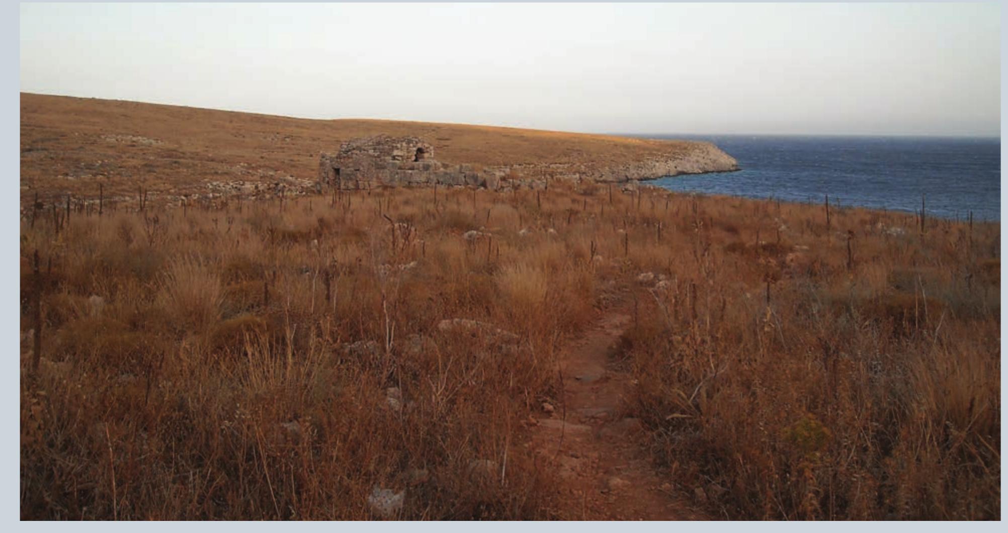 FIG. 7  The Sanctuary of Poseidon at Tainaron on the Mani Peninsula. (Photo by N. Dimakis.) 