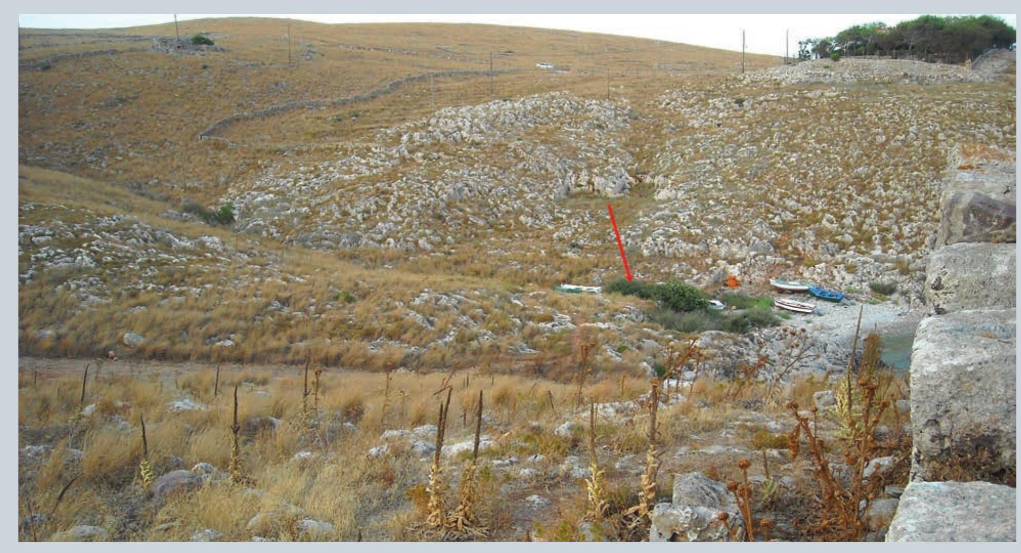 The location of a chasm at the Sanctuary of Poseidon. (Photo by N. Dimakis.) 