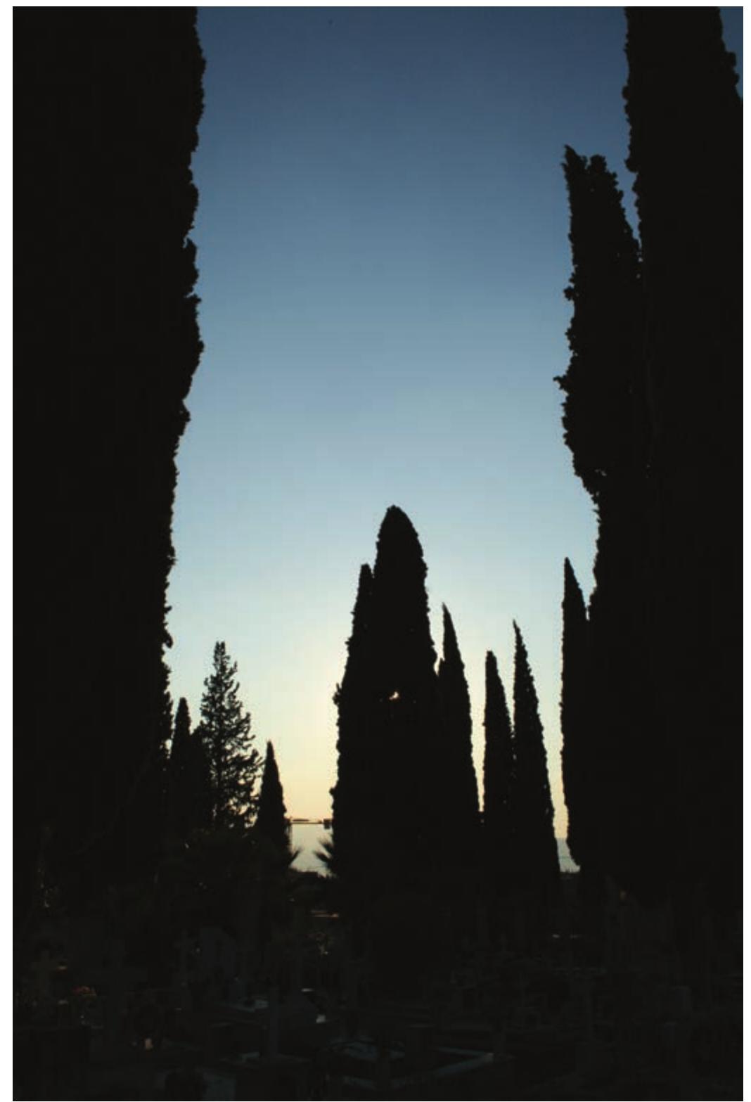 of death as they mark or surround the position of cemeteries, while “going to cypress trees,” a modern Greek euphemism, is regularly used as a metaphor for the afterlife (Fig. 10).  of death as they mark or surround the position of 