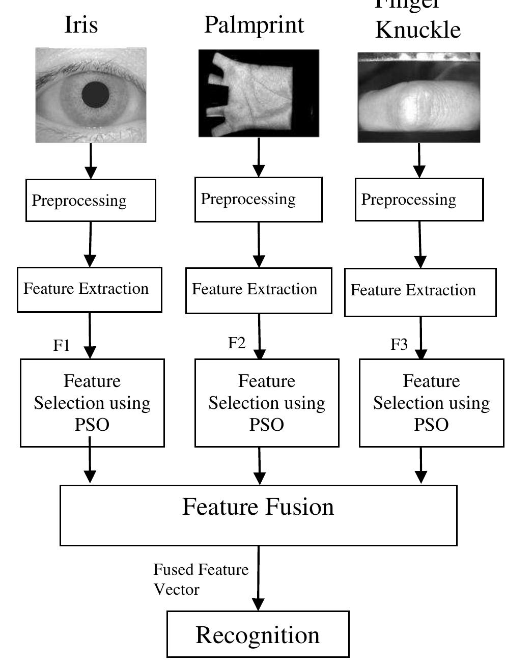 (PDF) Comparing Feature and Matching Score Fusion Levels of Multimodal ...